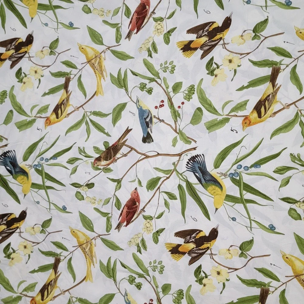 Pottery Barn Spring Sparrow Duvet Cover Only Full Queen EUC Birds Botanical 2010